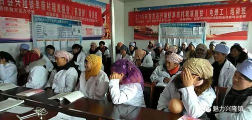 興隆鎮單南村 育嬰師技能培訓助力建檔立卡貧困戶就業增收